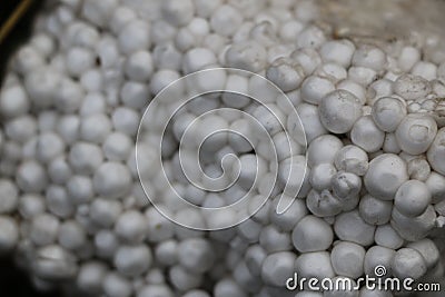 Small white balls of styrofoam on grass with twigs and leaves Stock Photo