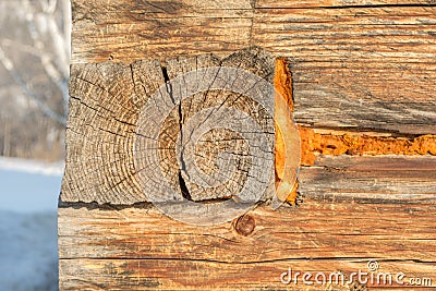 Polyurethane foam insulation in a wooden wall Stock Photo