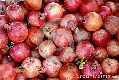 Pomegranate Stock Photo