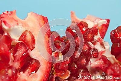 Pomegranate Stock Photo