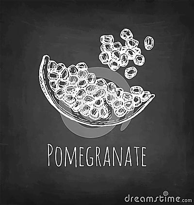 Pomegranate chalk sketch. Vector Illustration