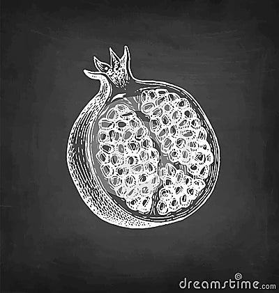 Pomegranate chalk sketch. Vector Illustration