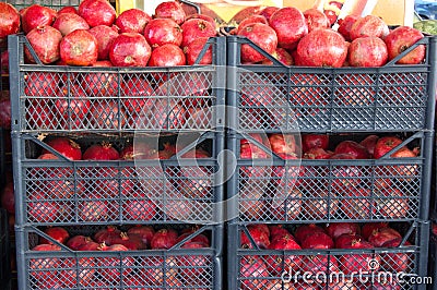 Pomegranate fruit background. Citrus group. Market place in Istanbul Stock Photo