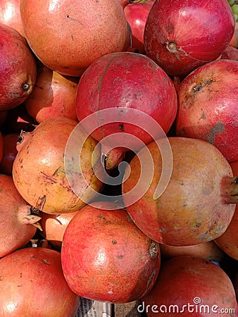 Pomegranate Stock Photo