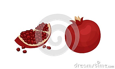 Pomegranate Fruit with Red-purple Husk with Inner, Spongy Mesocarp with Edible Seeds Vector Set Vector Illustration