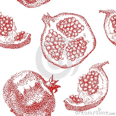 Pomegranate fruit vintage design template. Botanical fruit. Vector Illustration