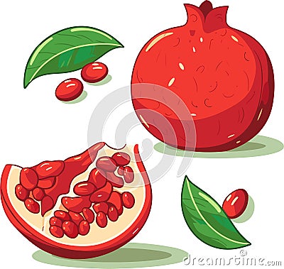 Pomegranate Hand drawn Vector. Pomegranate whole fruit and half sliced Vector Illustration