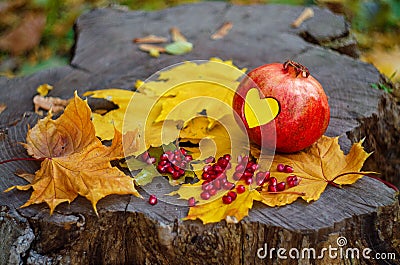 Pomegranate heart for love and good mood Stock Photo