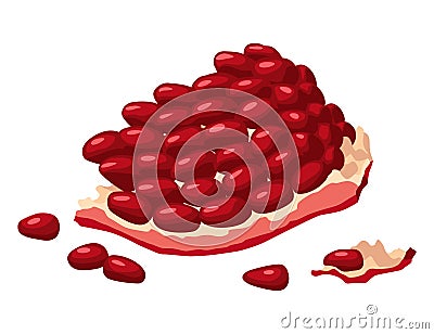 Pomegranate icon. Cartoon isolated summer garnet fruit with ruby seeds, cut slice. Advertising tropical ripe fruit Vector Illustration
