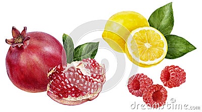 Pomegranate lemon raspberry set composition watercolor isolated on white background Cartoon Illustration