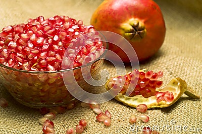 Pomegranate (Punica granatum) Stock Photo