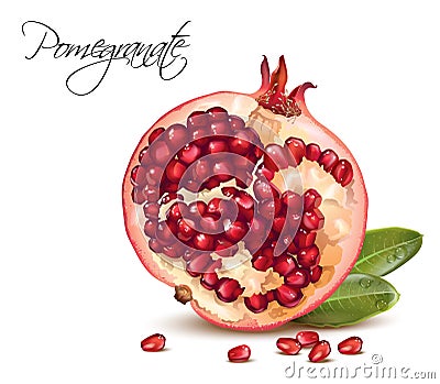 Pomegranate realistic illustration Vector Illustration