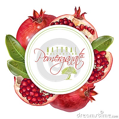 Pomegranate round banner Vector Illustration