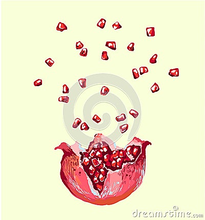 Pomegranate seed splash explosion , vector opened pomegranate illustration Vector Illustration