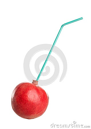 Pomegranate with tubule Stock Photo