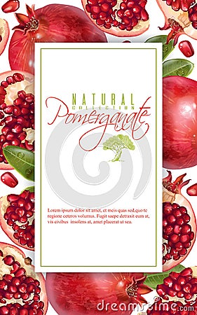 Pomegranate vertical banner Vector Illustration