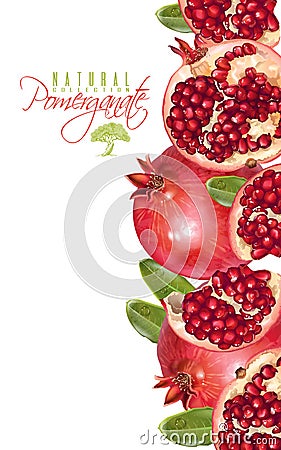 Pomegranate vertical banner Vector Illustration