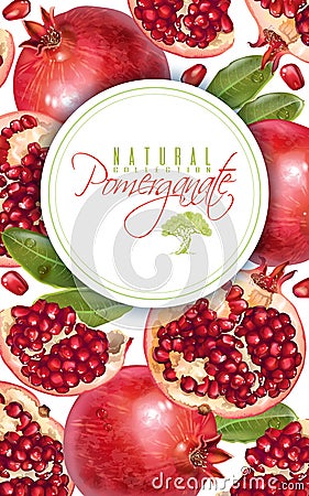 Pomegranate vertical round banner Vector Illustration