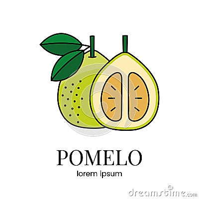 Pomelo citrus fruit, line icon in vector to indicate on food packaging about the presence of this allergen. Vector Illustration