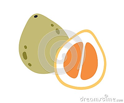 Pomelo, cut half and whole citrus fruit. Piece, cross section of exotic tropical vitamin food. Fresh ripe pomello Vector Illustration