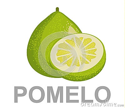 Pomelo fruit Vector Illustration