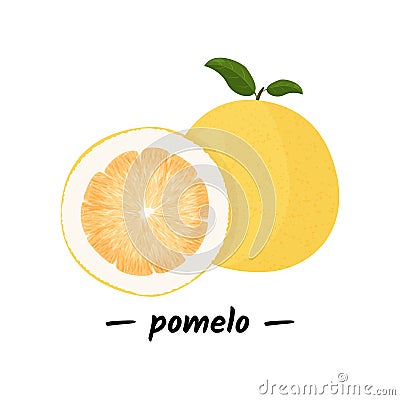 Pomelo fruit tropical exotic citrus, vector isolated illustration. Pummelo or shaddock fruits half cut and whole. Vector Illustration