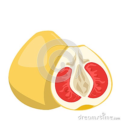 Pomelo fruit vector isolated. Sweet yellow citrus Vector Illustration