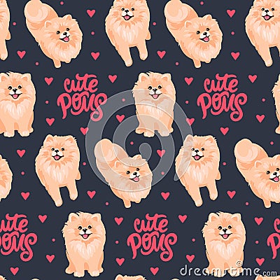 Pomeranian Spitz puppy seamless pattern. Small German spitz all over print background. Vector Illustration