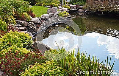 Pond Stock Photo