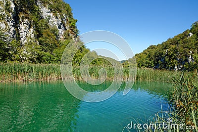 Pond bank landscape in bright summer day in Plitvice, Croatia Stock Photo
