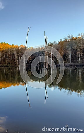 Pond on a brisk fall day Stock Photo