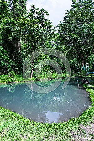 Pond at Buatong water fall and Jedsee fountain forest park Stock Photo