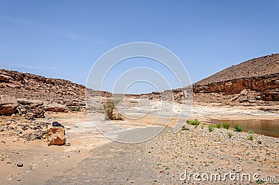 Pond with bushes along the stone river, Hamada du Draa (Morocco) Stock Photo