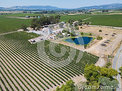 Pond at a California winery, from the air Stock Photo