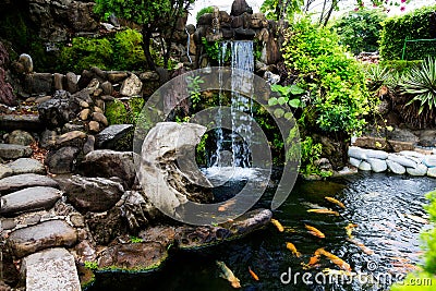 Pond in China with goldfish or Golden carp Japanese name-koi fish, Nishikigoi, Cyprinus carpio haematopterus a sacred symbol for Stock Photo