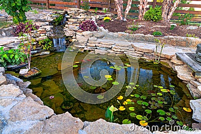 Pond Stock Photo