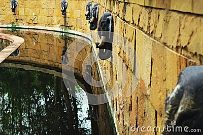 A pond with elephant fountains Stock Photo