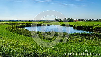 A pond in flat land of a farmers field near the Veluwemeer Stock Photo