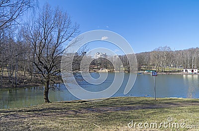 Pond in the forest park in Moscow. Stock Photo