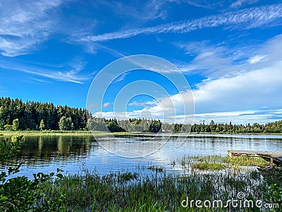 Pond and forest under amazing blue sky in summer landscape Stock Photo