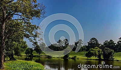 Pond at Forsythe Park Stock Photo