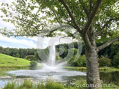 Pond Fountain Stock Photo