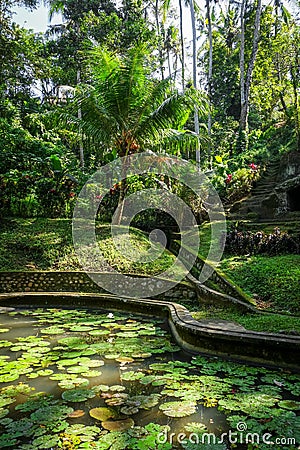 Pond and jungle in Goa Gajah elephant cave temple, Ubud, Bali, Indonesia Stock Photo