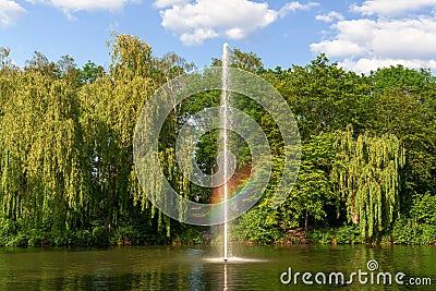 Pond, lake in the park, nature reserve, recreational area with fountain in the middle and with beautiful green trees in the backgr Stock Photo