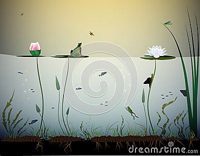 Pond life, under the water, river`s animal, shadows, black and white, Vector Illustration