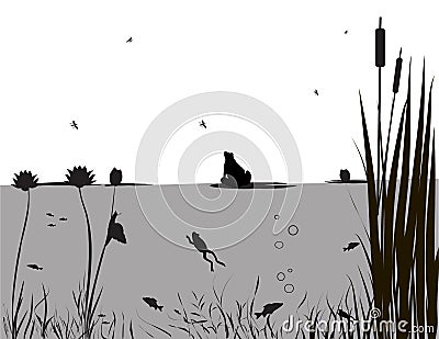 Pond life Vector Illustration