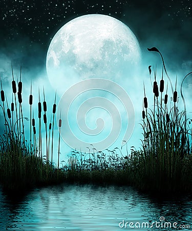 Pond and Moon at Night Stock Photo