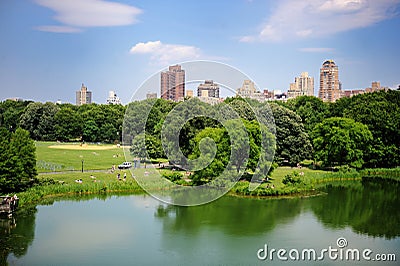 A Pond In New York City Central Park In Summer Stock Image - Image ...