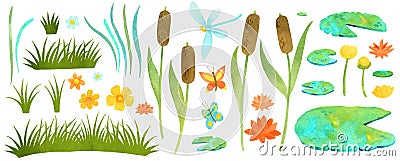 Pond plants watercoolor illustration with reeds, water lilies and grass clipart. Cartoon Illustration