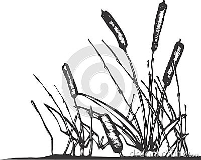 Pond Reeds Vector Illustration